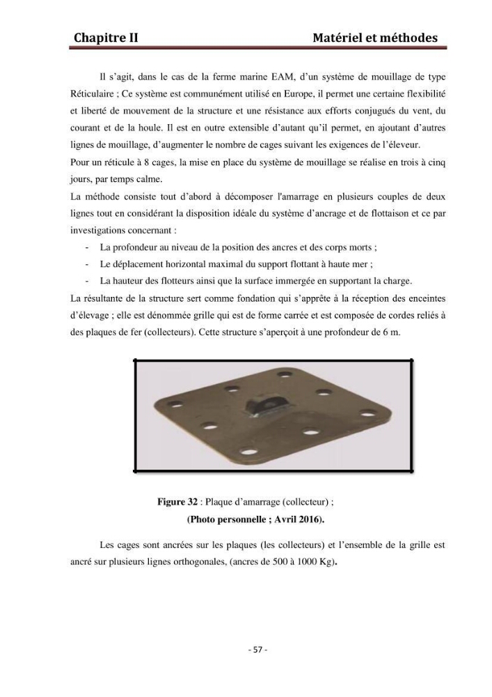 Contribution au montage des cages flotantte pour l\'élevage de loup et de daurade \'Ain tagourait,Bou Ismail Tipaza):