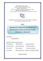 Phylogènie des souches d'E. coli résistantes aux fluoroquinolones isolées au niveau de la station d'épuration de Boumerdes:
