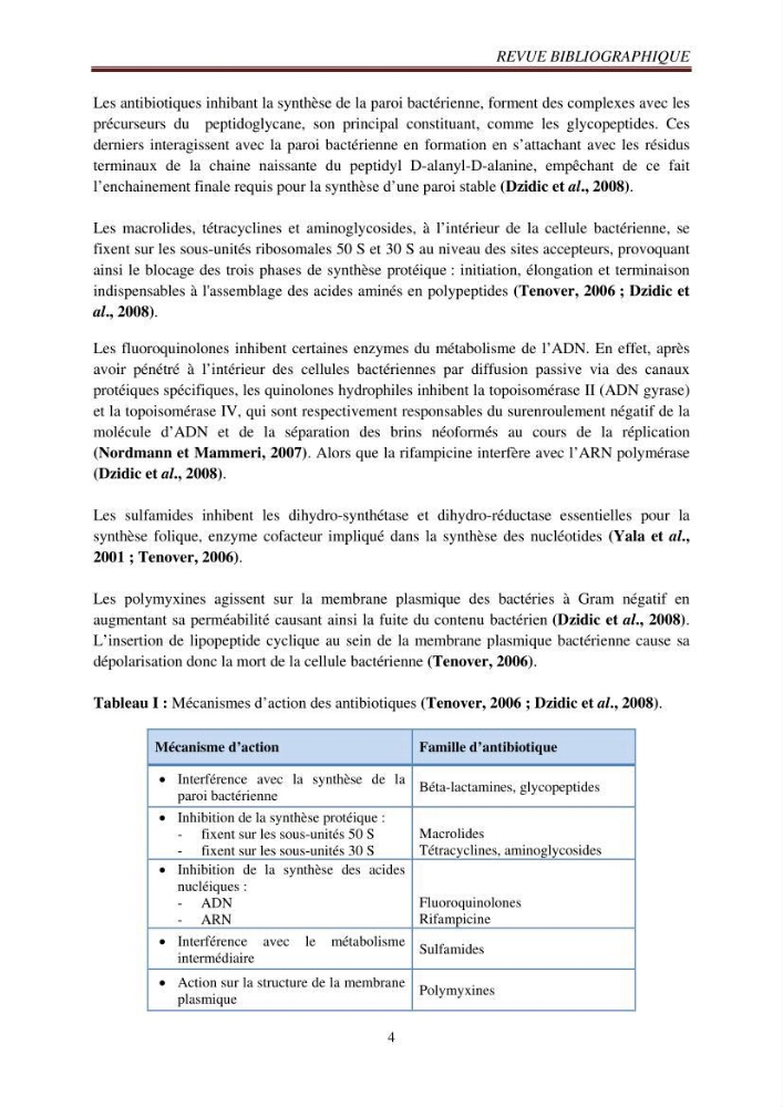 Détection de la résistance bactérienne aux antibiotiques dans l\'environnement marin, influence des apports anthropiques