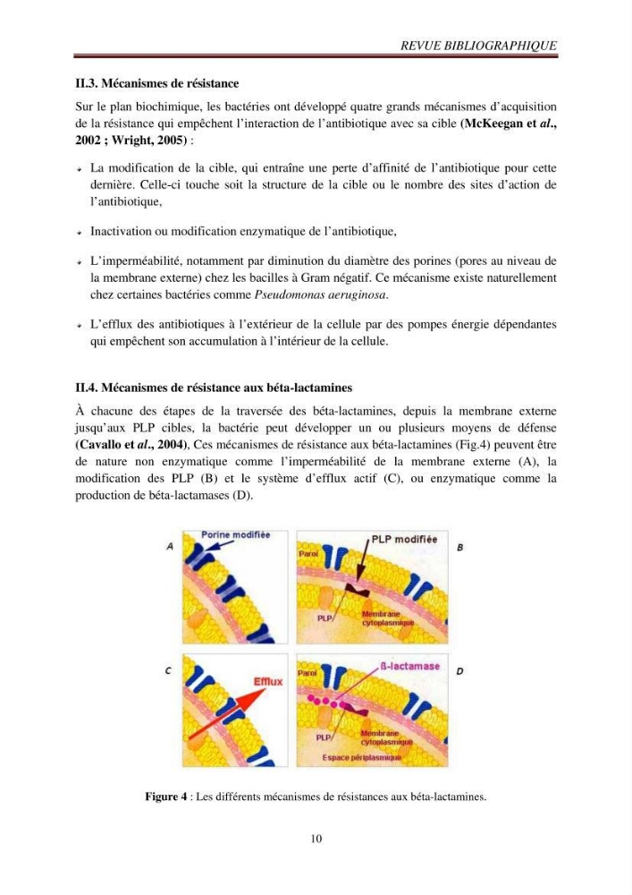 Détection de la résistance bactérienne aux antibiotiques dans l\'environnement marin, influence des apports anthropiques