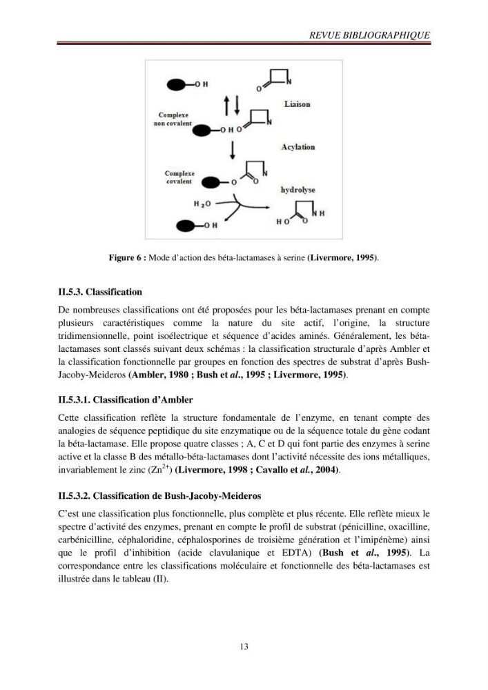 Détection de la résistance bactérienne aux antibiotiques dans l\'environnement marin, influence des apports anthropiques