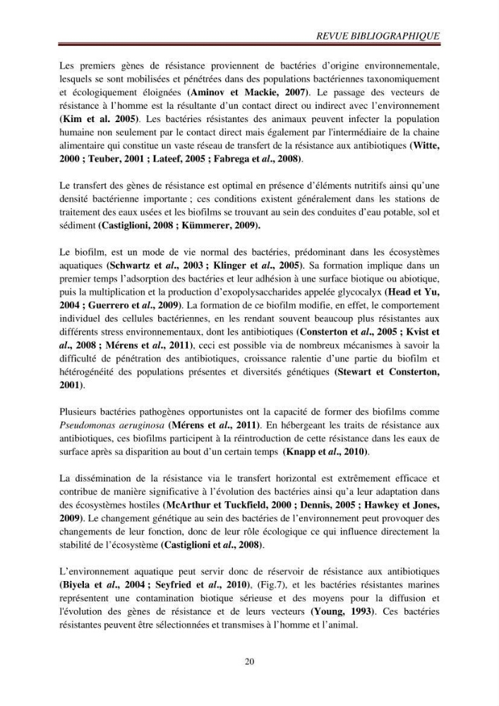 Détection de la résistance bactérienne aux antibiotiques dans l\'environnement marin, influence des apports anthropiques