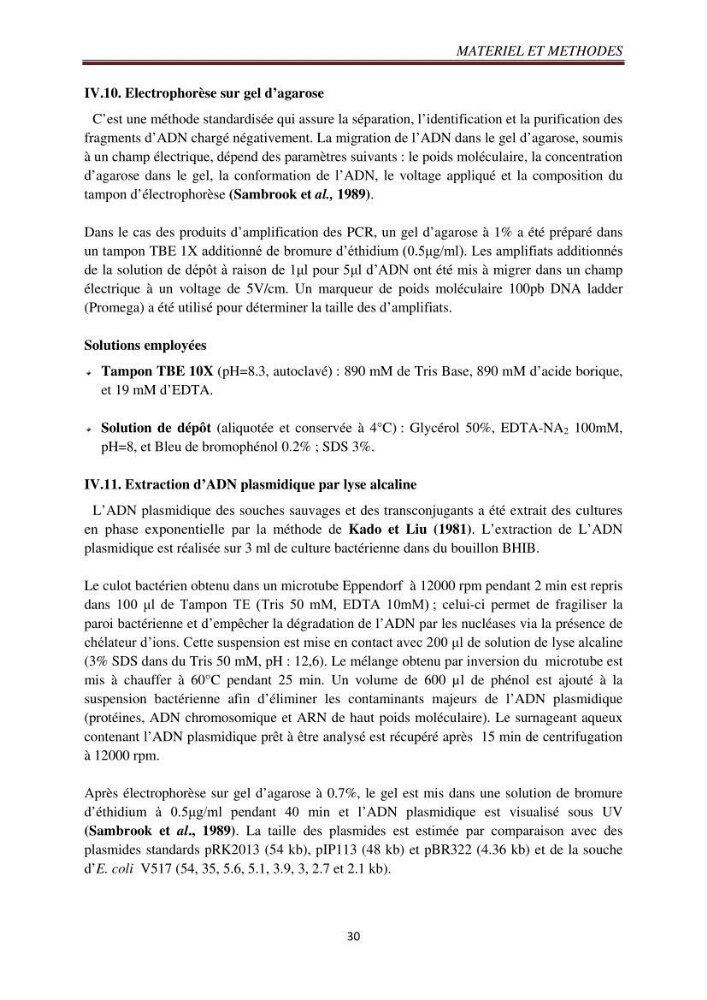 Détection de la résistance bactérienne aux antibiotiques dans l\'environnement marin, influence des apports anthropiques