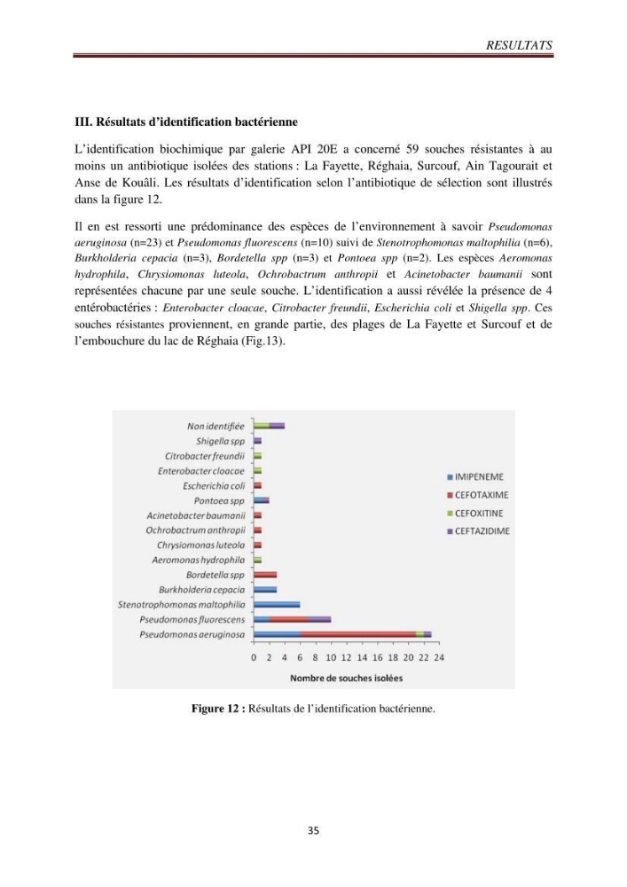 Détection de la résistance bactérienne aux antibiotiques dans l\'environnement marin, influence des apports anthropiques