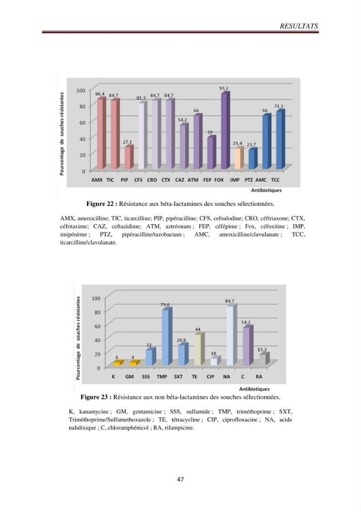 Détection de la résistance bactérienne aux antibiotiques dans l\'environnement marin, influence des apports anthropiques