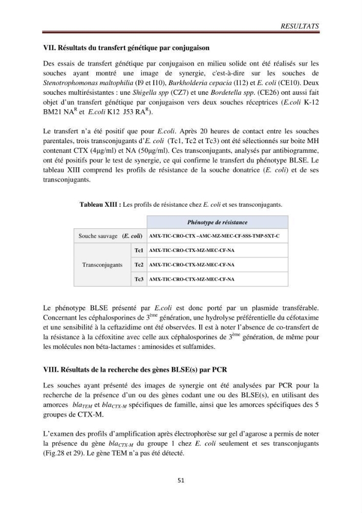 Détection de la résistance bactérienne aux antibiotiques dans l\'environnement marin, influence des apports anthropiques