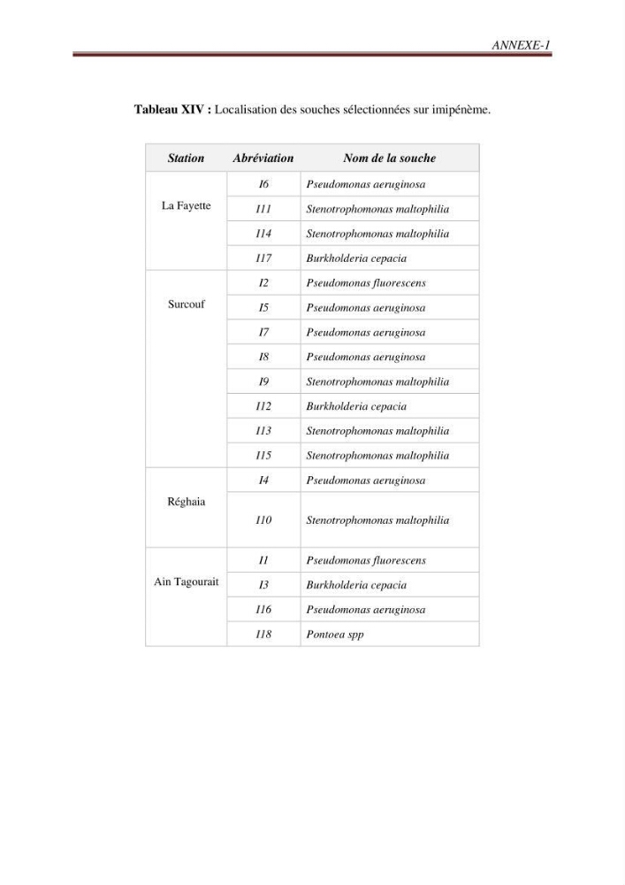 Détection de la résistance bactérienne aux antibiotiques dans l\'environnement marin, influence des apports anthropiques