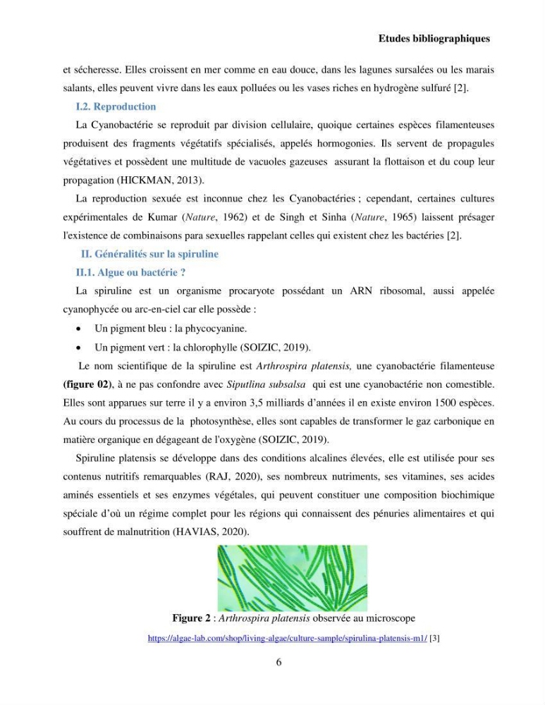 Extraction et identification des pigments de micro-algues à usage alimentaire et pharmaceutique: