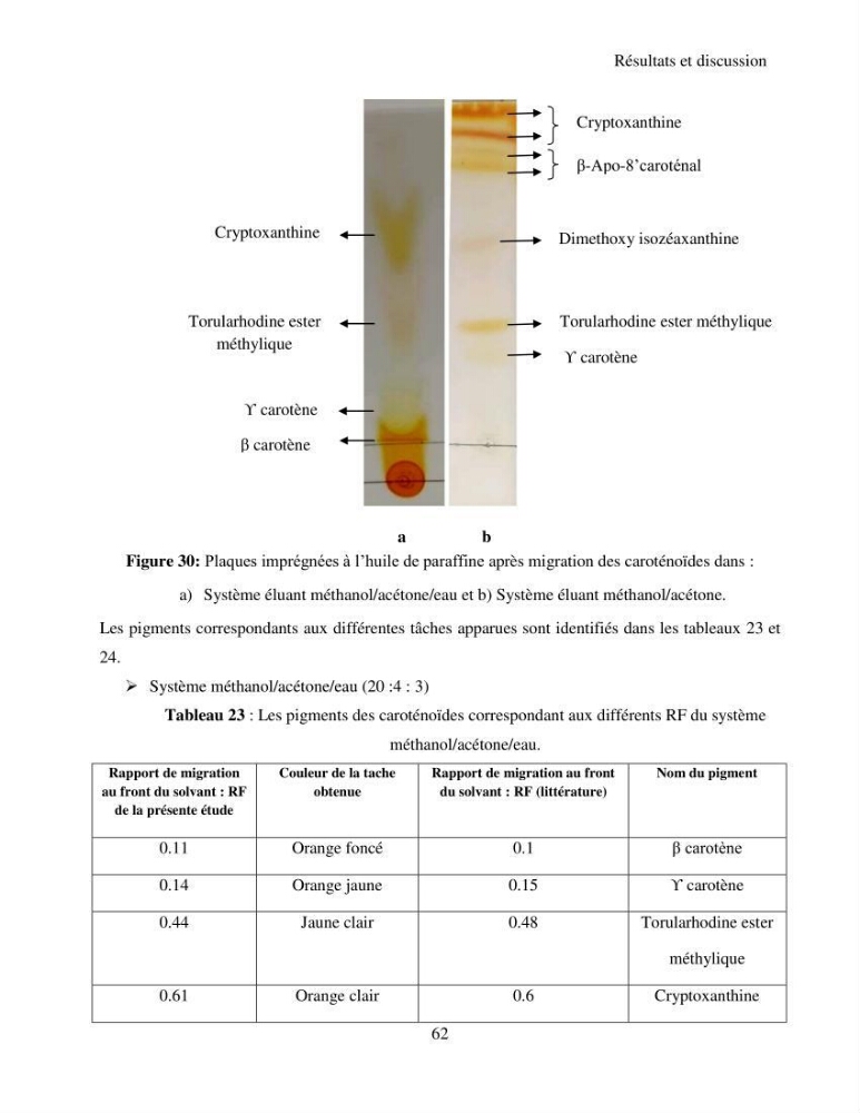 Extraction et identification des pigments de micro-algues à usage alimentaire et pharmaceutique:
