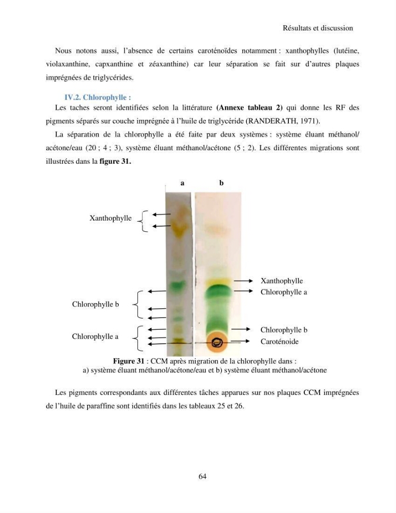 Extraction et identification des pigments de micro-algues à usage alimentaire et pharmaceutique: