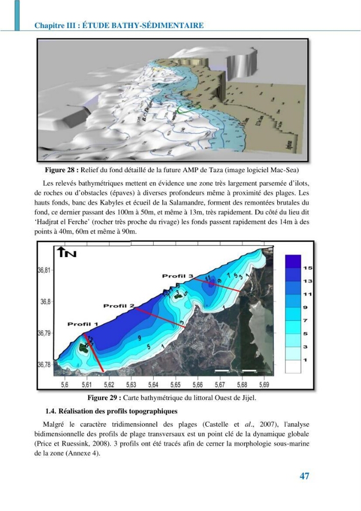 Etude géomorpho-sédimentaire de la zone côtière du parc National de Taza: wilaya de Jijel