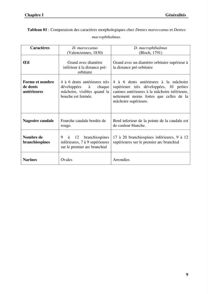 Contribution à l\'étude du comportement de dentex maroccanus (Osteichthyens, Sparidae) : Répartitions, communautés caractéristiques et régime alimentaire: