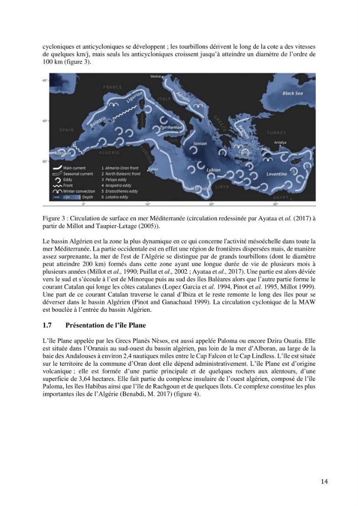 Inventaire et organisation des données et métadonnées de la diversité biologique faunistique marine en Algérie.