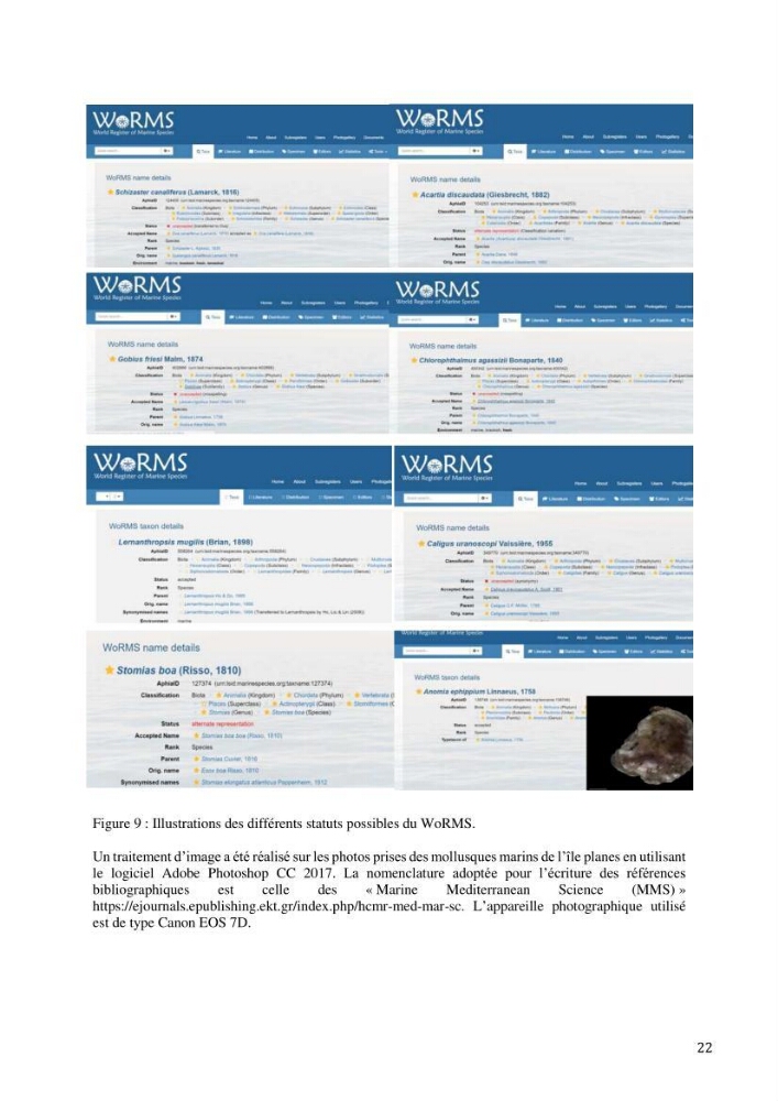 Inventaire et organisation des données et métadonnées de la diversité biologique faunistique marine en Algérie.