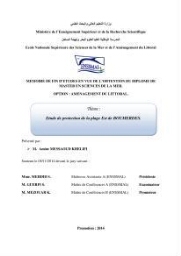 Etude de protection de la plage Est de Boumerdes: