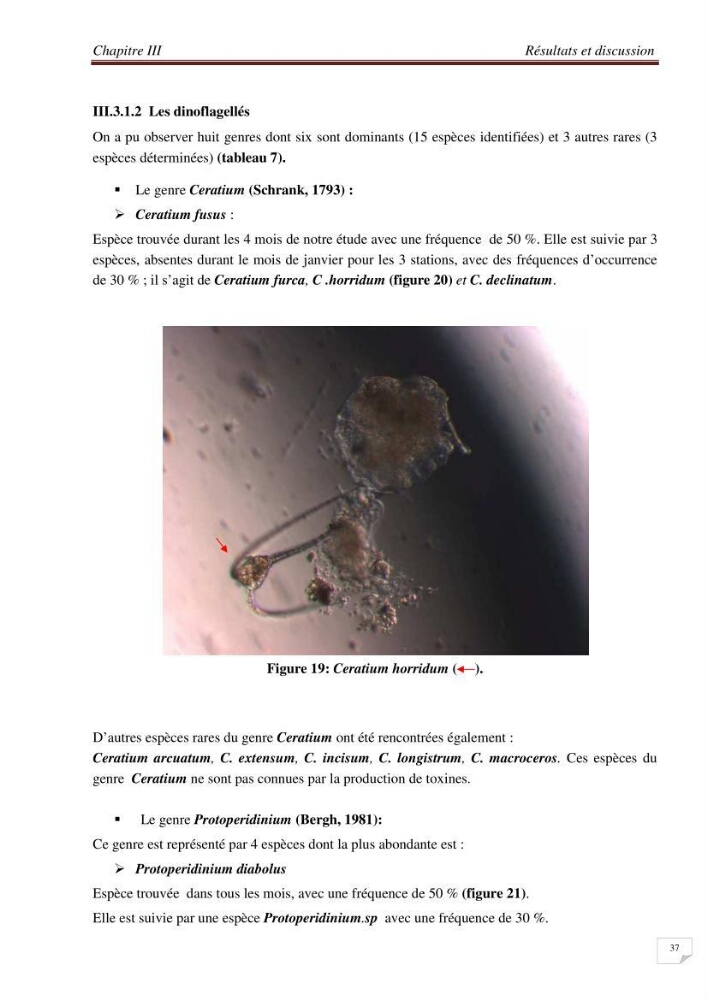 Contribution à l\'étude des sites à potentialités aquacoles en baie de Bou-Ismail
