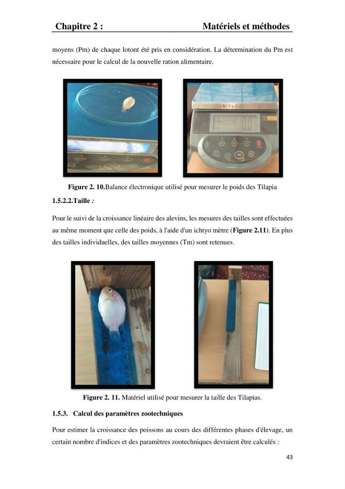 Etude comparative d\'un aliment commercial distribué en poudre et en granulé au cour de l\'élevage du tilapia du Nil ( tilapia nilotica):
