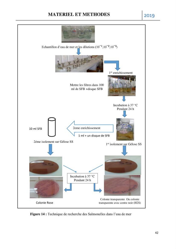 Etude des paramètres d’évaluation des matrices eau et sédiments des plages Est et Ouest de Sidi-Fredj: