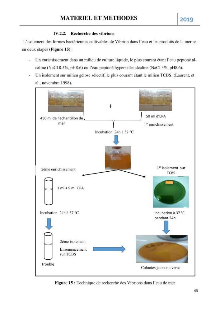Etude des paramètres d’évaluation des matrices eau et sédiments des plages Est et Ouest de Sidi-Fredj: