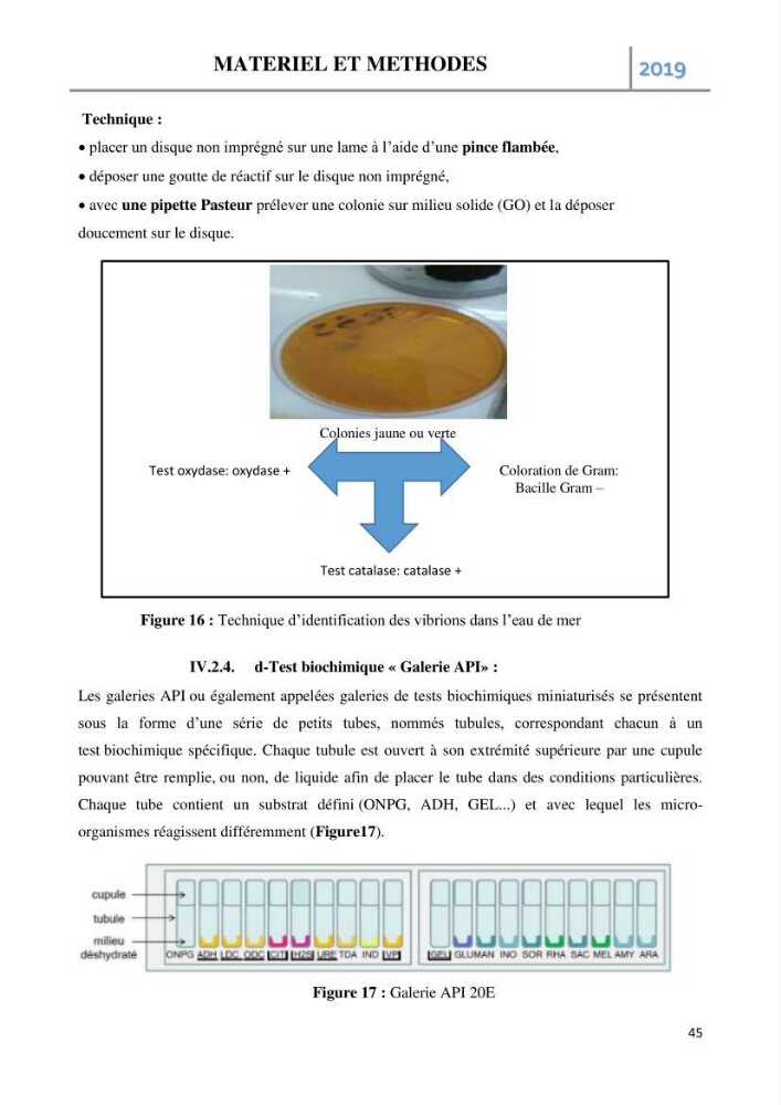 Etude des paramètres d’évaluation des matrices eau et sédiments des plages Est et Ouest de Sidi-Fredj: