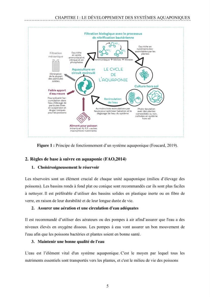 Conception d\'un système d\'élevage en aquaponie