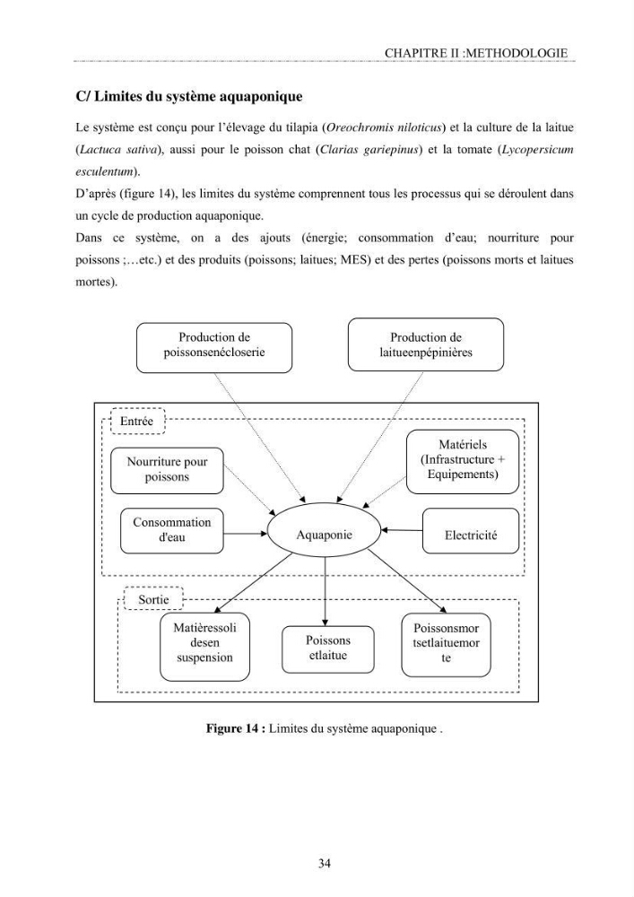 Conception d\'un système d\'élevage en aquaponie