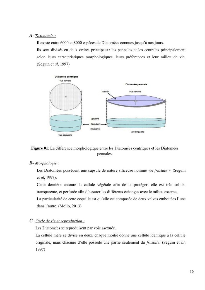 Dynamique et diversité du peuplement phytoplanctonique de la baie de Bou-Ismail.