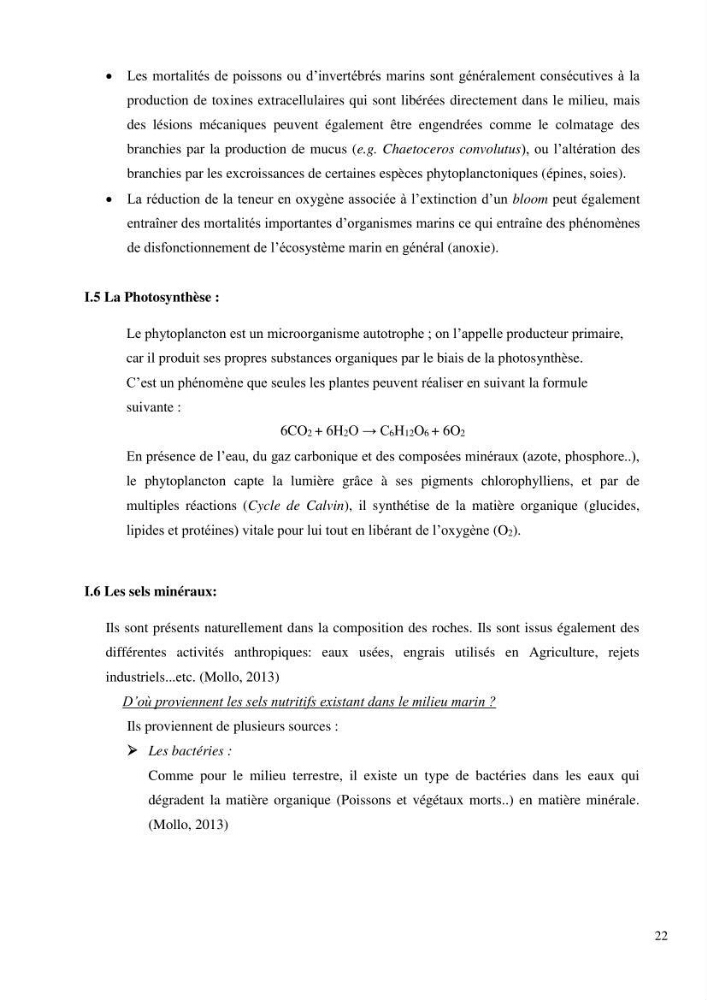 Dynamique et diversité du peuplement phytoplanctonique de la baie de Bou-Ismail.