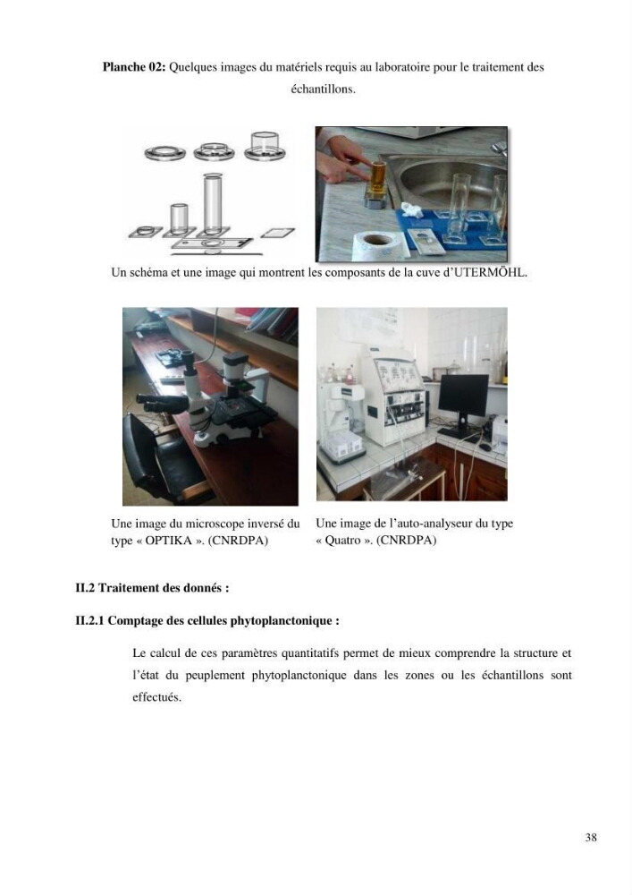 Dynamique et diversité du peuplement phytoplanctonique de la baie de Bou-Ismail.