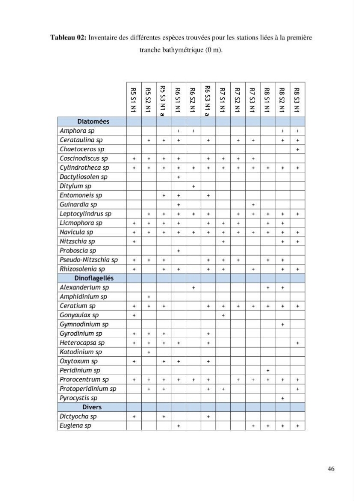 Dynamique et diversité du peuplement phytoplanctonique de la baie de Bou-Ismail.