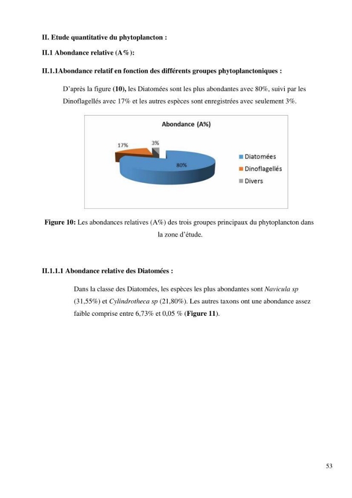 Dynamique et diversité du peuplement phytoplanctonique de la baie de Bou-Ismail.