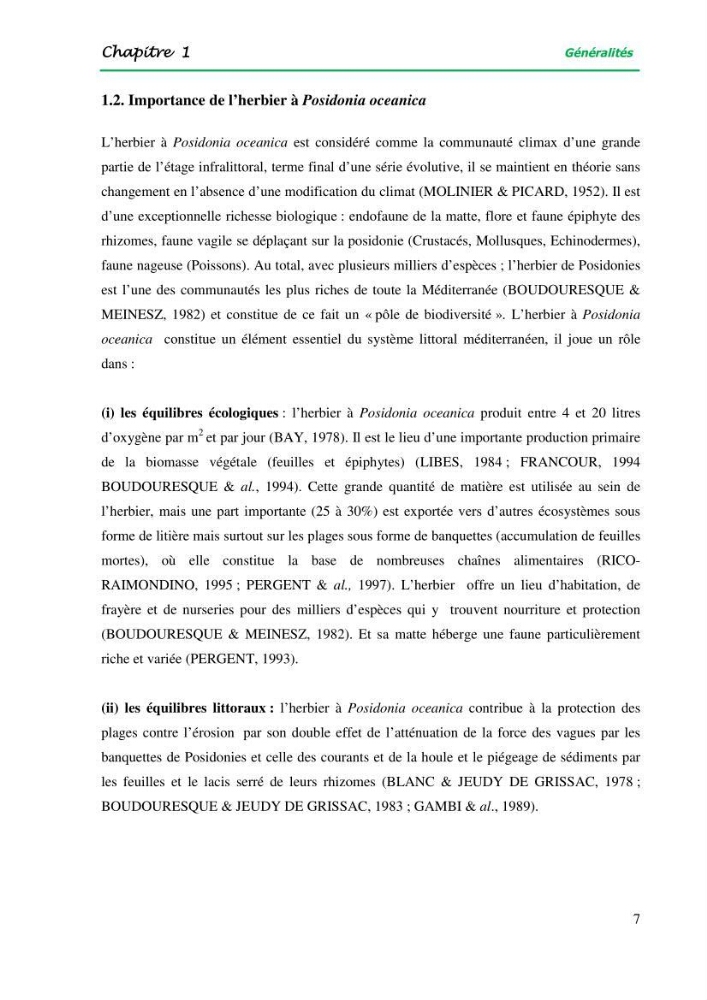 Mise en place du balisage au niveau de la limite inférieure de l\'herbier à Posidonia oceanica (L) delile de l\'anse de kouâli