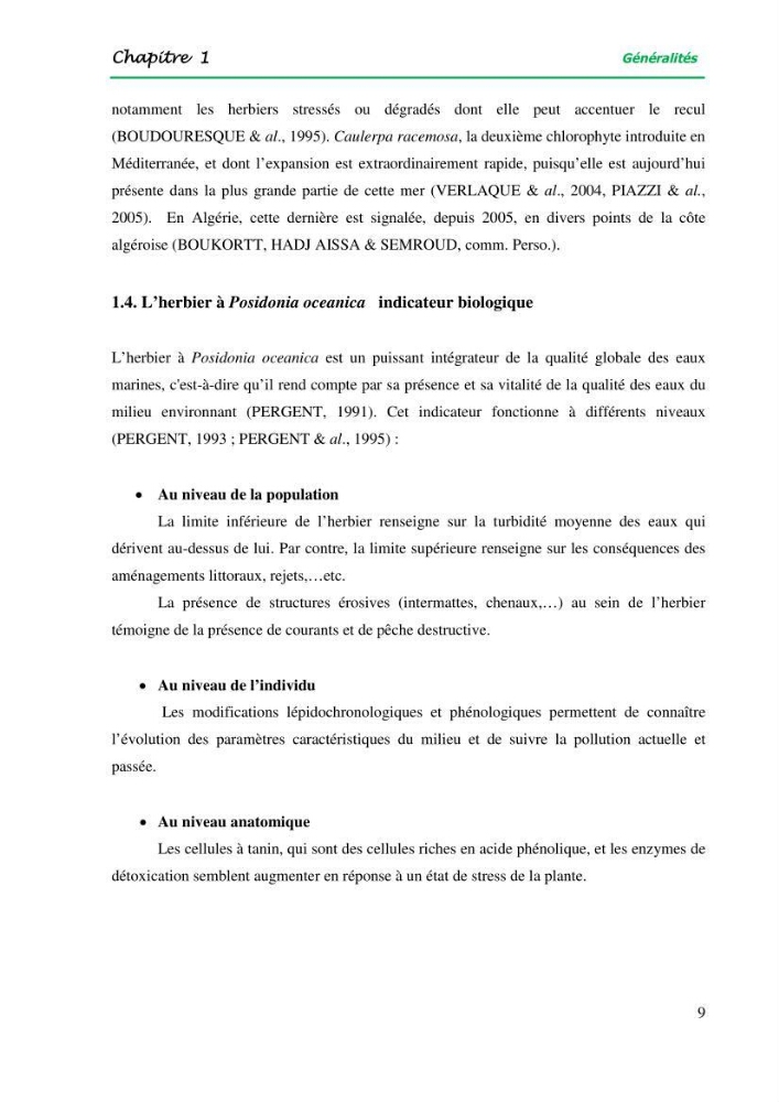 Mise en place du balisage au niveau de la limite inférieure de l\'herbier à Posidonia oceanica (L) delile de l\'anse de kouâli