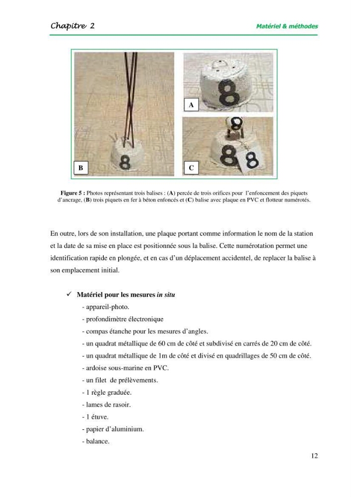 Mise en place du balisage au niveau de la limite inférieure de l\'herbier à Posidonia oceanica (L) delile de l\'anse de kouâli