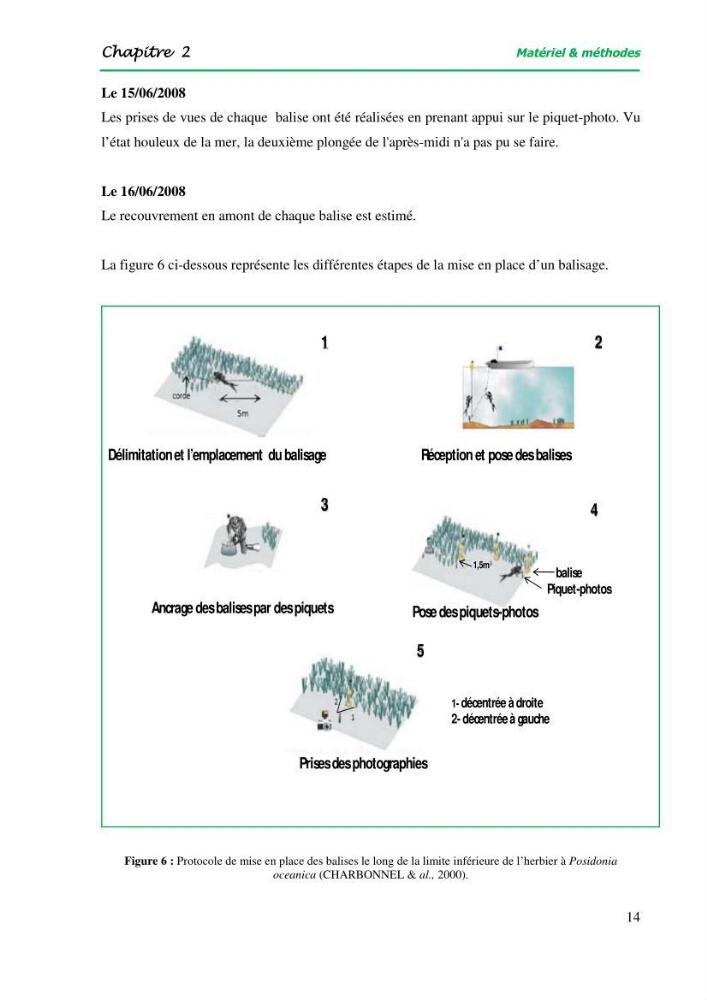 Mise en place du balisage au niveau de la limite inférieure de l\'herbier à Posidonia oceanica (L) delile de l\'anse de kouâli