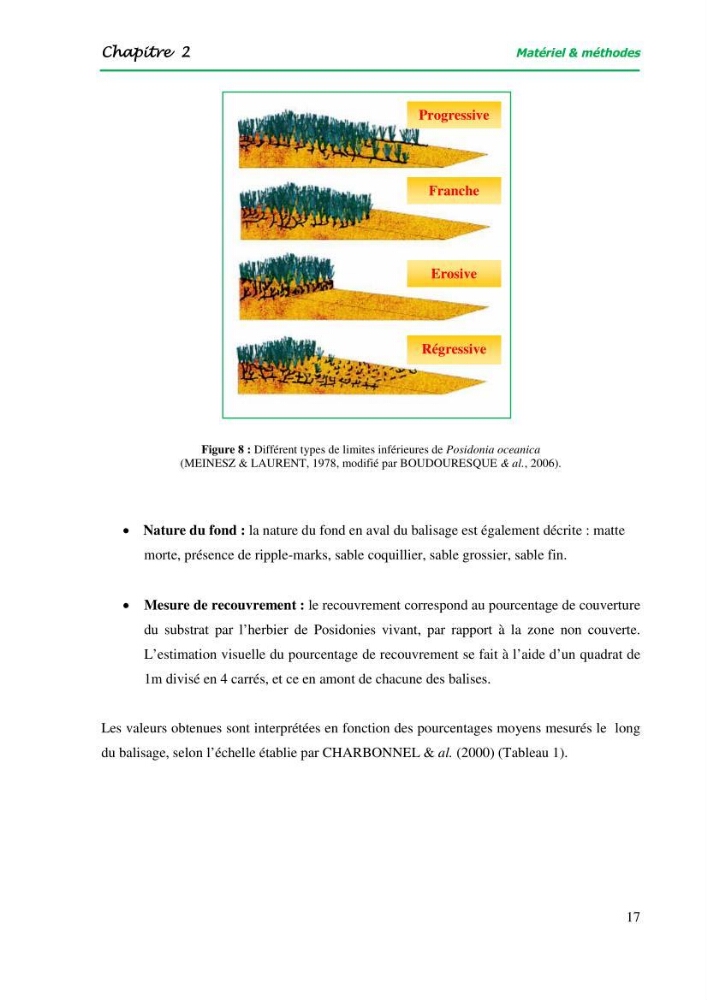 Mise en place du balisage au niveau de la limite inférieure de l\'herbier à Posidonia oceanica (L) delile de l\'anse de kouâli