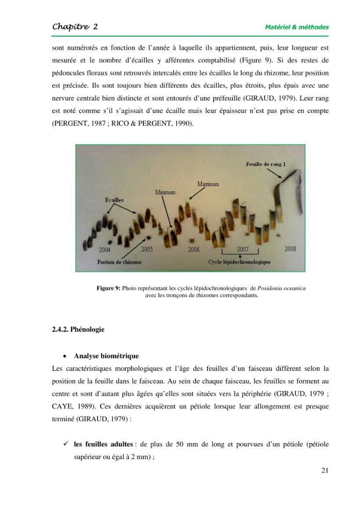 Mise en place du balisage au niveau de la limite inférieure de l\'herbier à Posidonia oceanica (L) delile de l\'anse de kouâli