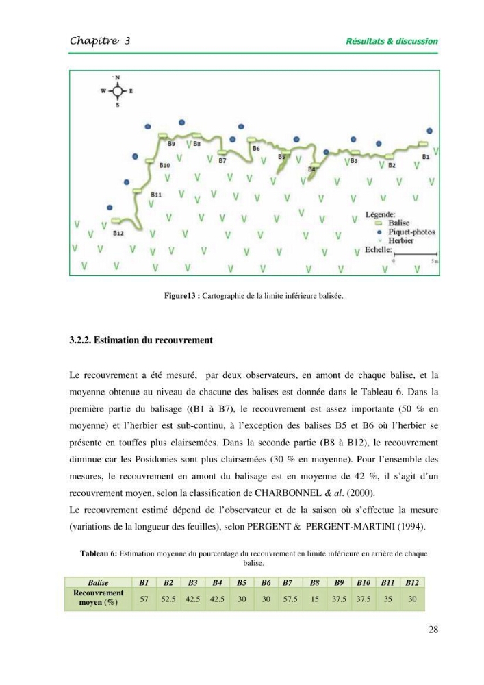 Mise en place du balisage au niveau de la limite inférieure de l\'herbier à Posidonia oceanica (L) delile de l\'anse de kouâli