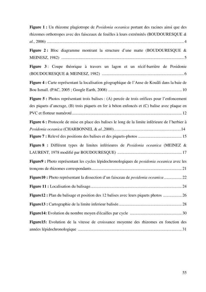 Mise en place du balisage au niveau de la limite inférieure de l\'herbier à Posidonia oceanica (L) delile de l\'anse de kouâli
