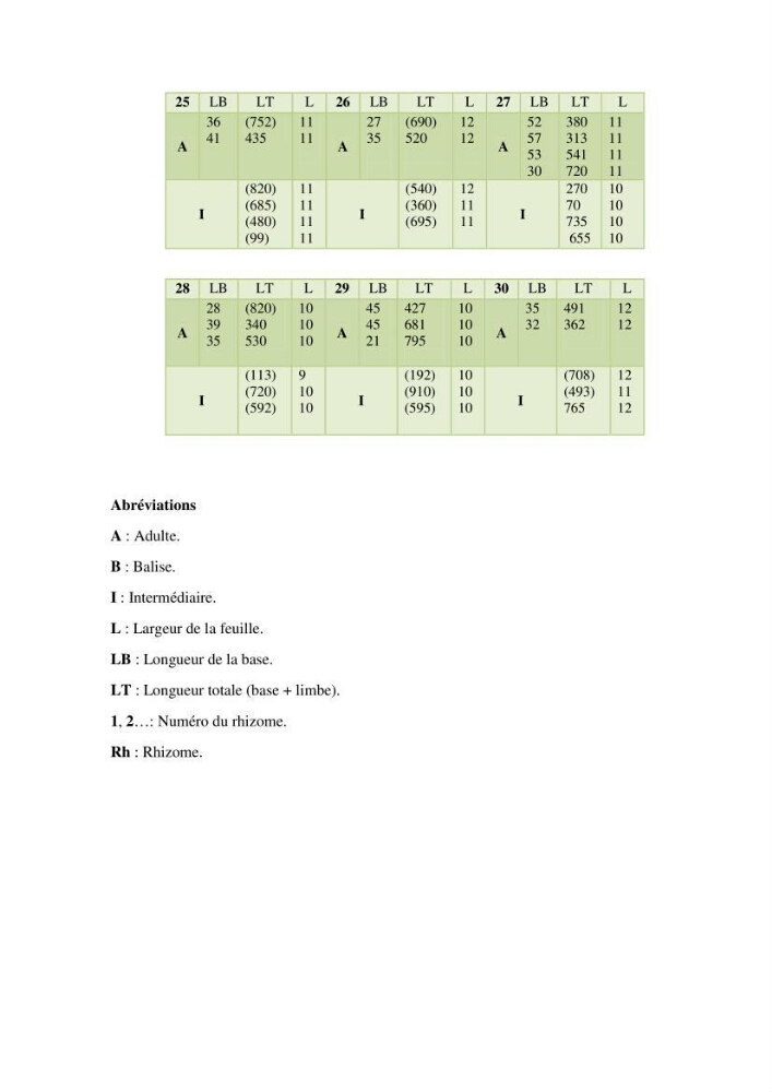 Mise en place du balisage au niveau de la limite inférieure de l\'herbier à Posidonia oceanica (L) delile de l\'anse de kouâli