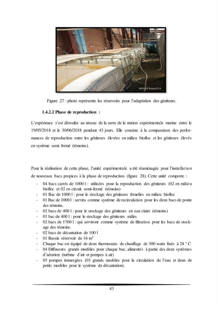 Essais d’élevage de Tilapia Nilotica en système biofloc : Effet sur la croissance, la reproduction et les paramètres du milieu
