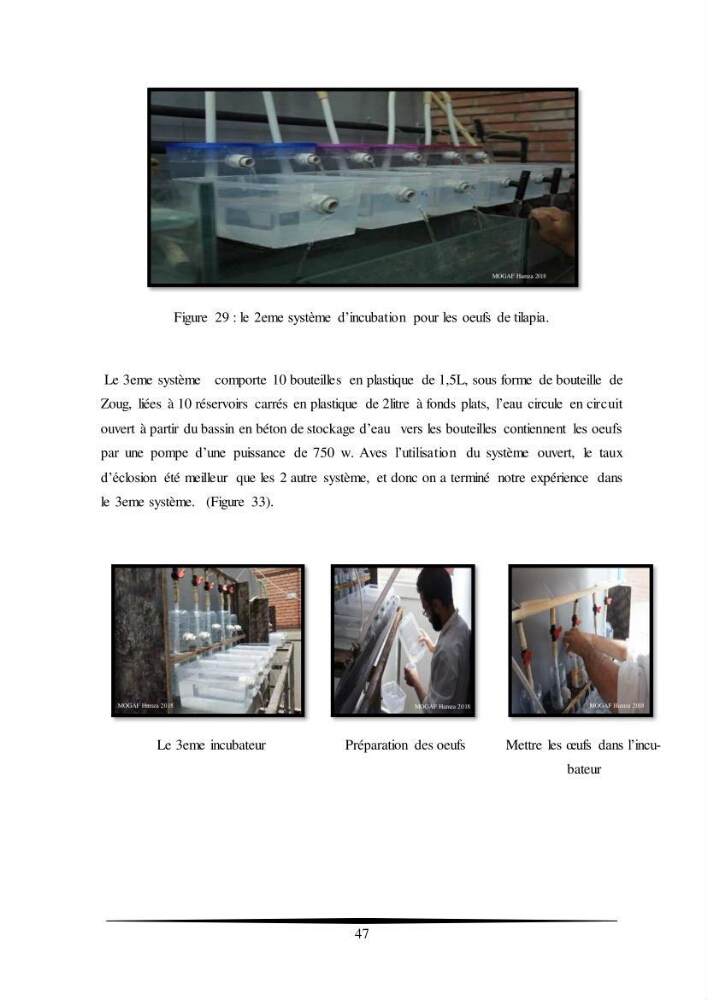 Essais d’élevage de Tilapia Nilotica en système biofloc : Effet sur la croissance, la reproduction et les paramètres du milieu