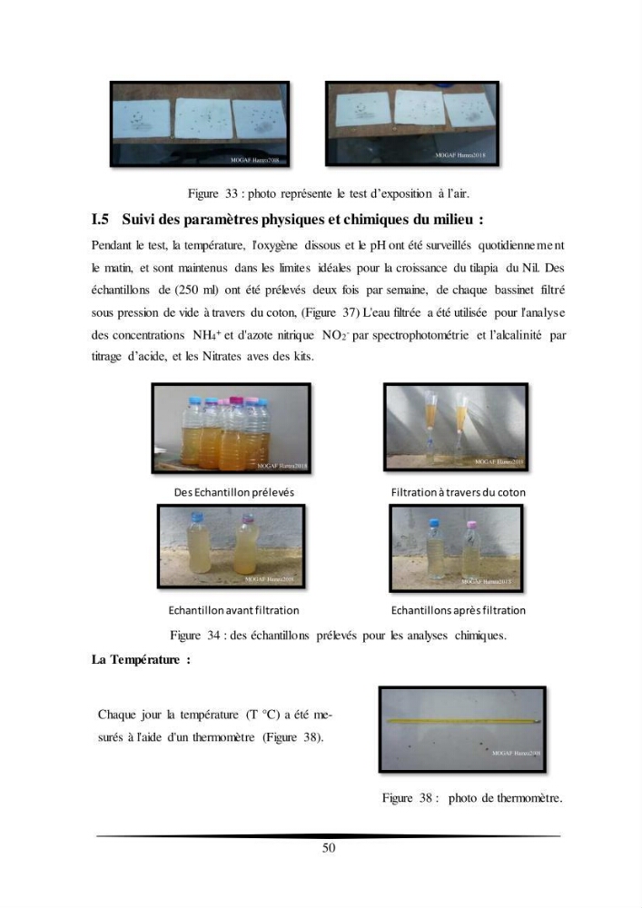 Essais d’élevage de Tilapia Nilotica en système biofloc : Effet sur la croissance, la reproduction et les paramètres du milieu
