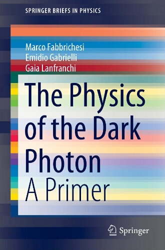 The physics of the dark photon: a primer The physics of the dark photon: a primer