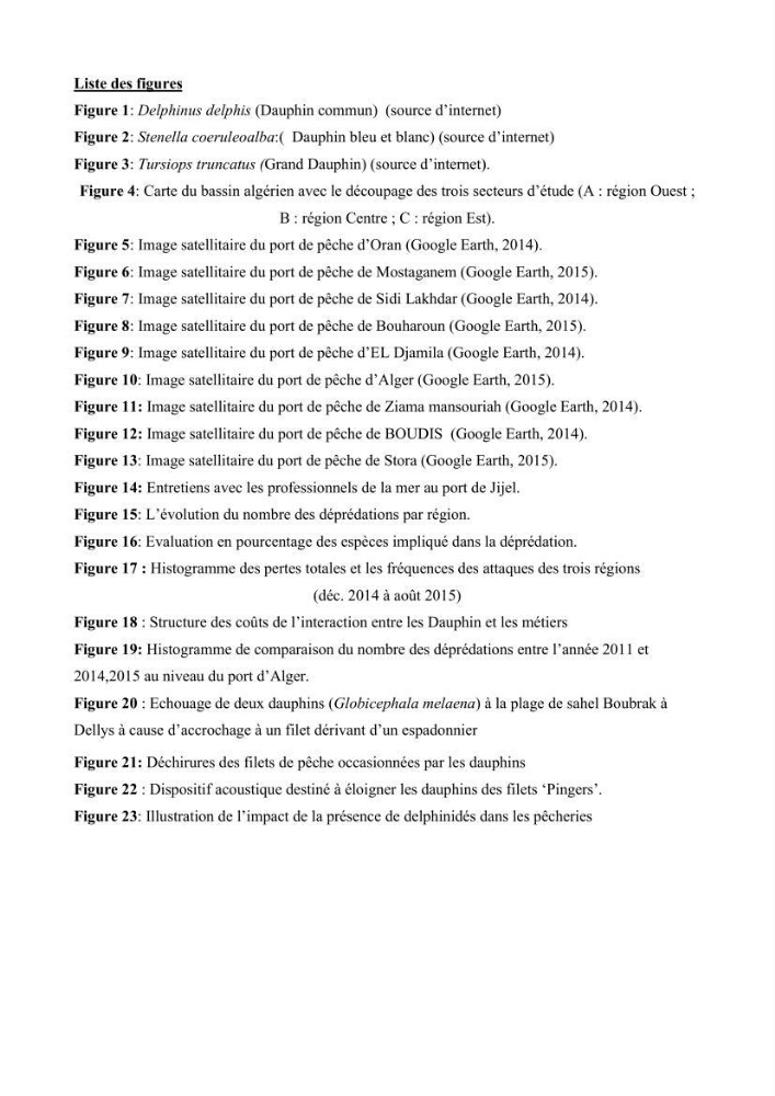 Contribution à l\'étude de la déprédation des petits delphinidés sur la pêche et interaction pêcherie-cétacés le long de la côte Algerienne: