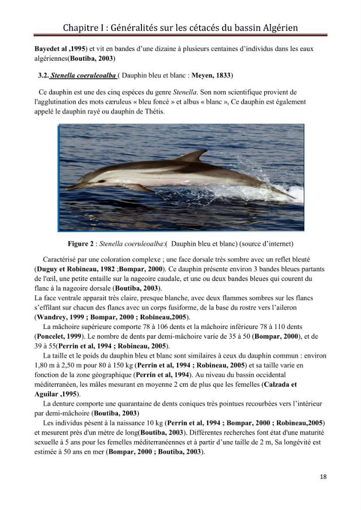 Contribution à l\'étude de la déprédation des petits delphinidés sur la pêche et interaction pêcherie-cétacés le long de la côte Algerienne: