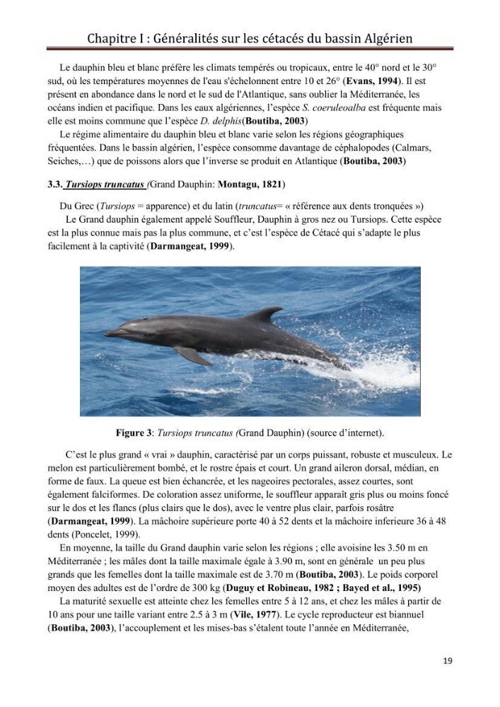 Contribution à l\'étude de la déprédation des petits delphinidés sur la pêche et interaction pêcherie-cétacés le long de la côte Algerienne: