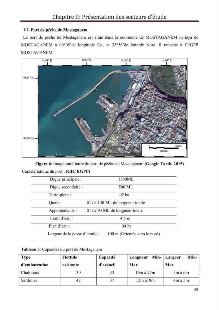Contribution à l\'étude de la déprédation des petits delphinidés sur la pêche et interaction pêcherie-cétacés le long de la côte Algerienne: