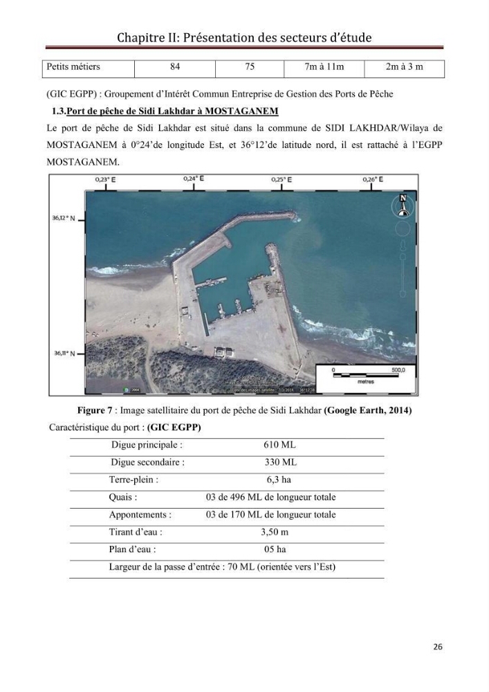 Contribution à l\'étude de la déprédation des petits delphinidés sur la pêche et interaction pêcherie-cétacés le long de la côte Algerienne: