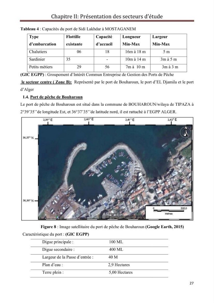 Contribution à l\'étude de la déprédation des petits delphinidés sur la pêche et interaction pêcherie-cétacés le long de la côte Algerienne: